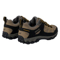 Clay-Gold Flake - Back - Regatta Mens Edgepoint IV Low Walking Shoes