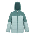 Spruce Green-Green Haze - Front - Regatta Childrens-Kids Lofthouse Insulated Jacket