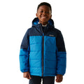 Navy-Snorkel Blue - Lifestyle - Regatta Childrens-Kids Lofthouse Insulated Jacket