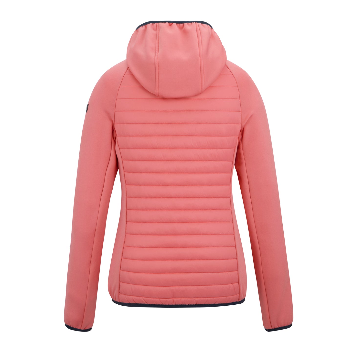 Peach Pink - Back - Regatta Womens-Ladies Anderson Hybrid Jacket