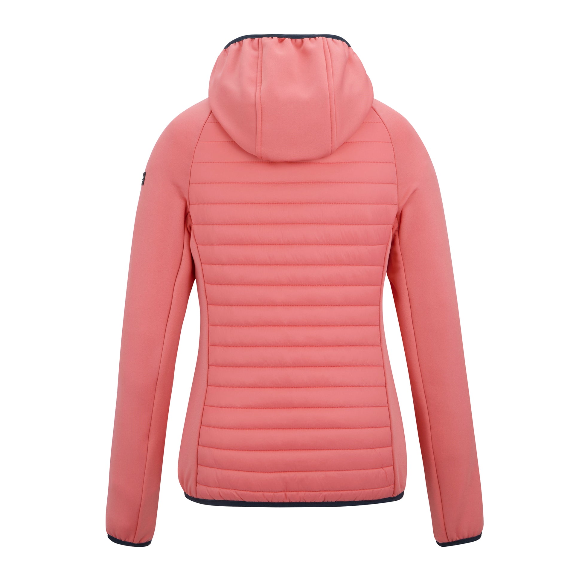 Peach Pink - Back - Regatta Womens-Ladies Anderson Hybrid Jacket