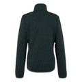 Spruce Green - Back - Regatta Womens-Ladies Newhill Full Zip Fleece Jacket