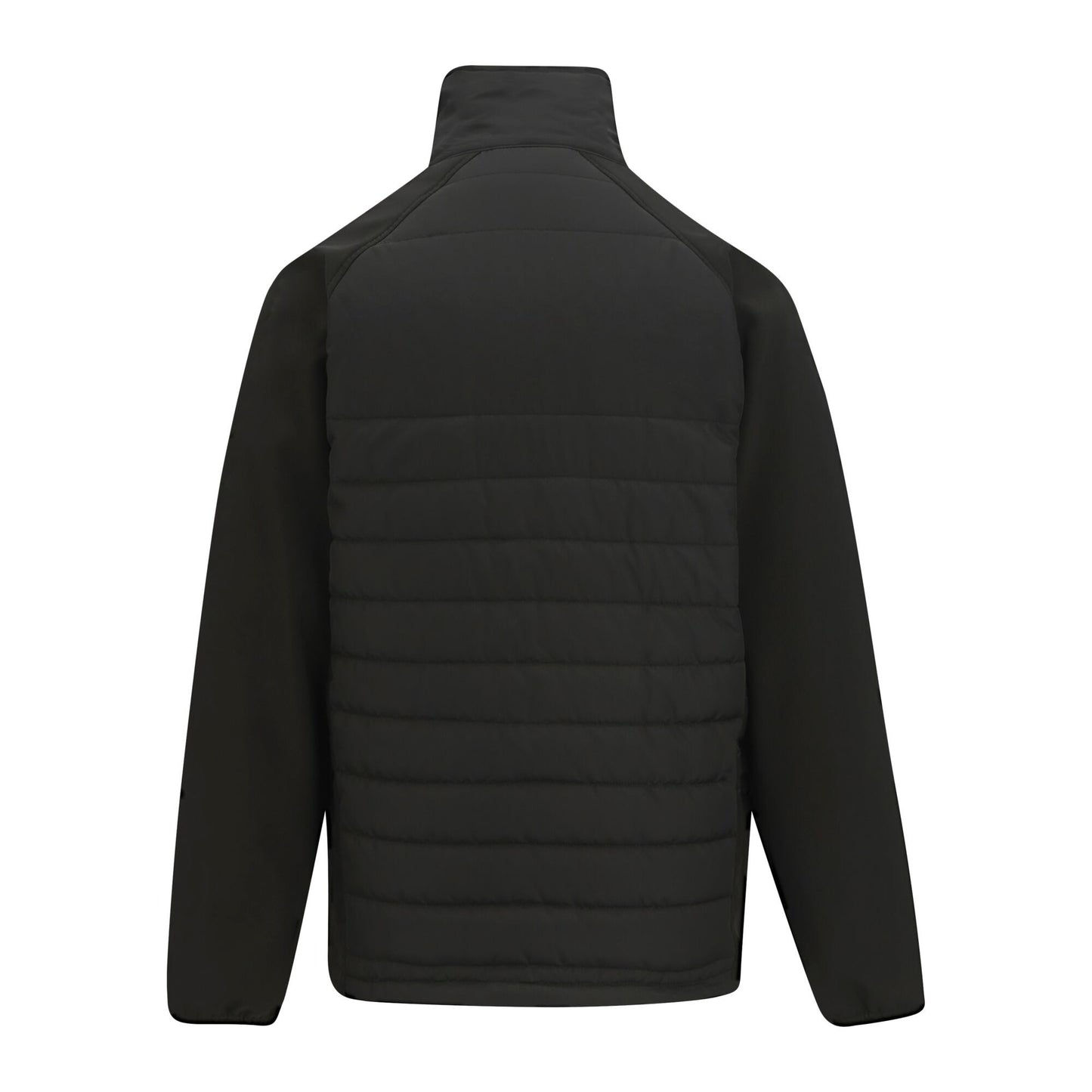 Black-Classic Red - Back - Regatta Mens Full Zip Padded Jacket