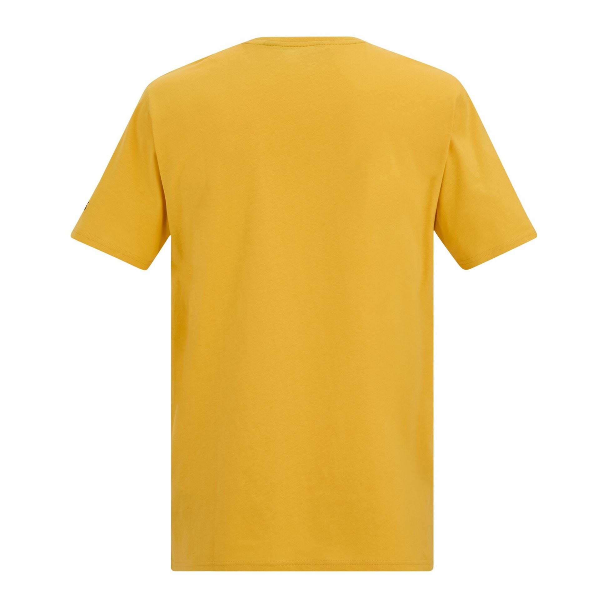 Ceylon Yellow - Back - Regatta Mens Cline IX Adventure T-Shirt