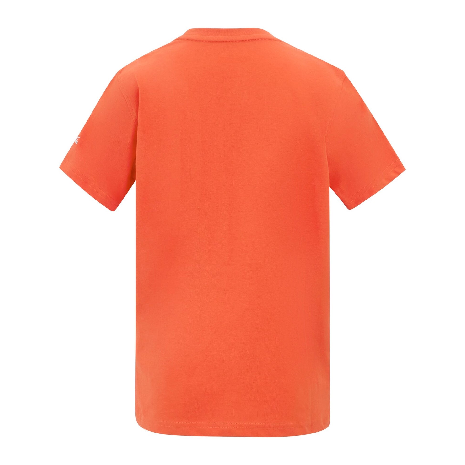 Rusty Orange - Back - Regatta Childrens-Kids Bosley Palm Tree T-Shirt