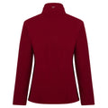 Rumba Red - Back - Regatta Great Outdoors Womens-Ladies Sweetheart 1-4 Zip Fleece Top