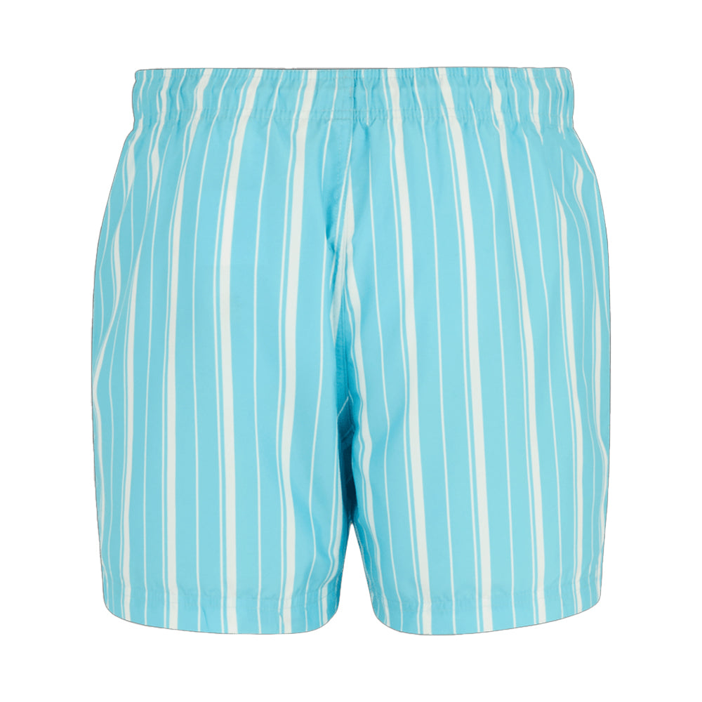 Nordic Blue-White - Back - Regatta Mens Loras Stripe Swim Shorts