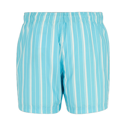 Nordic Blue-White - Back - Regatta Mens Loras Stripe Swim Shorts