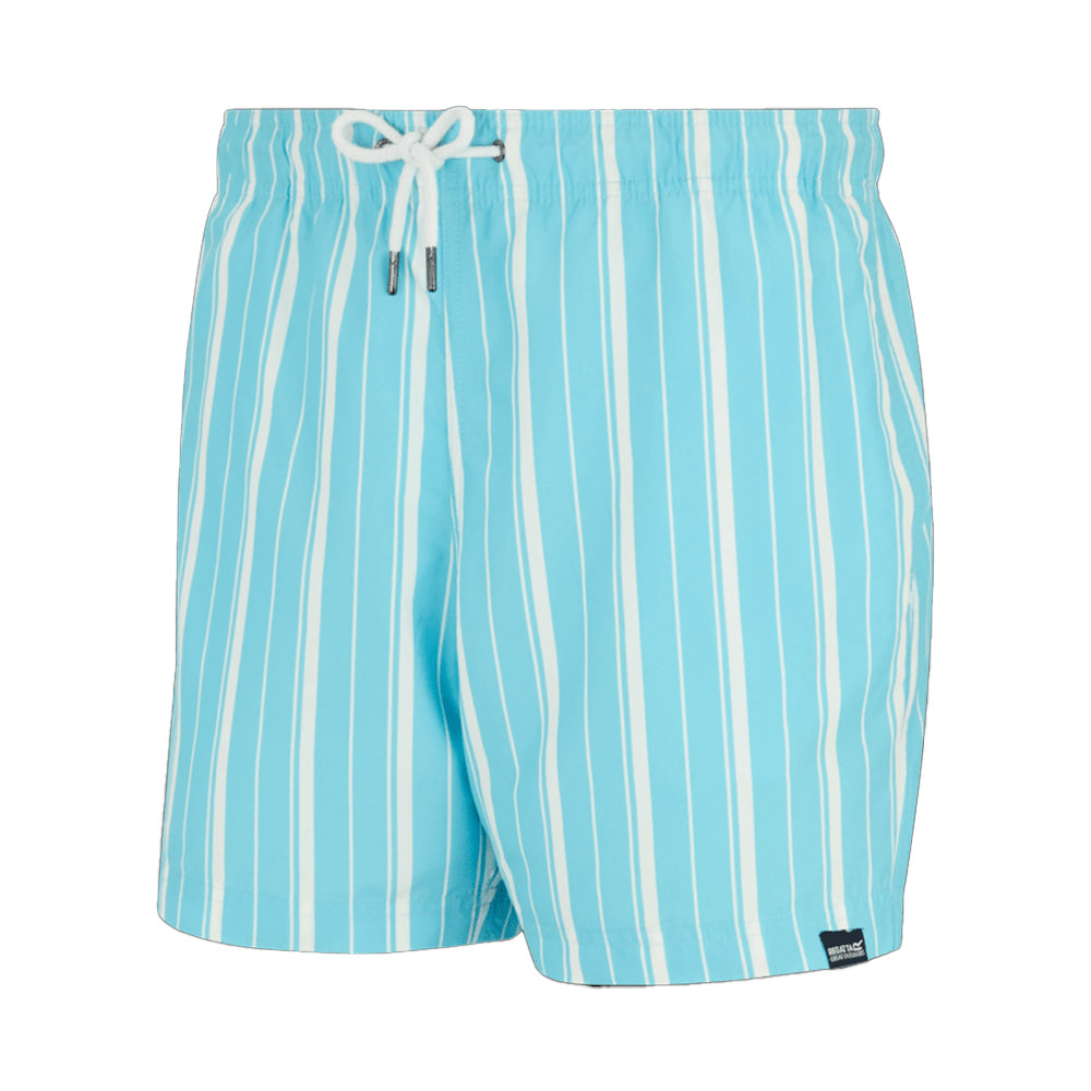 Nordic Blue-White - Side - Regatta Mens Loras Stripe Swim Shorts