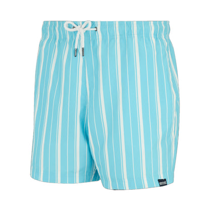 Nordic Blue-White - Side - Regatta Mens Loras Stripe Swim Shorts