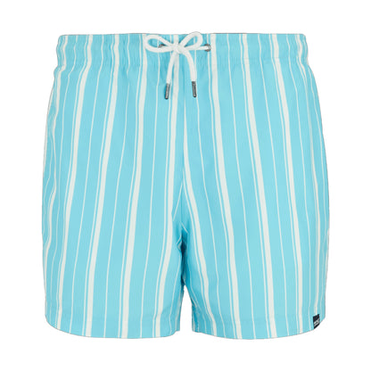 Nordic Blue-White - Front - Regatta Mens Loras Stripe Swim Shorts