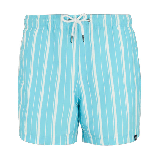 Nordic Blue-White - Front - Regatta Mens Loras Stripe Swim Shorts