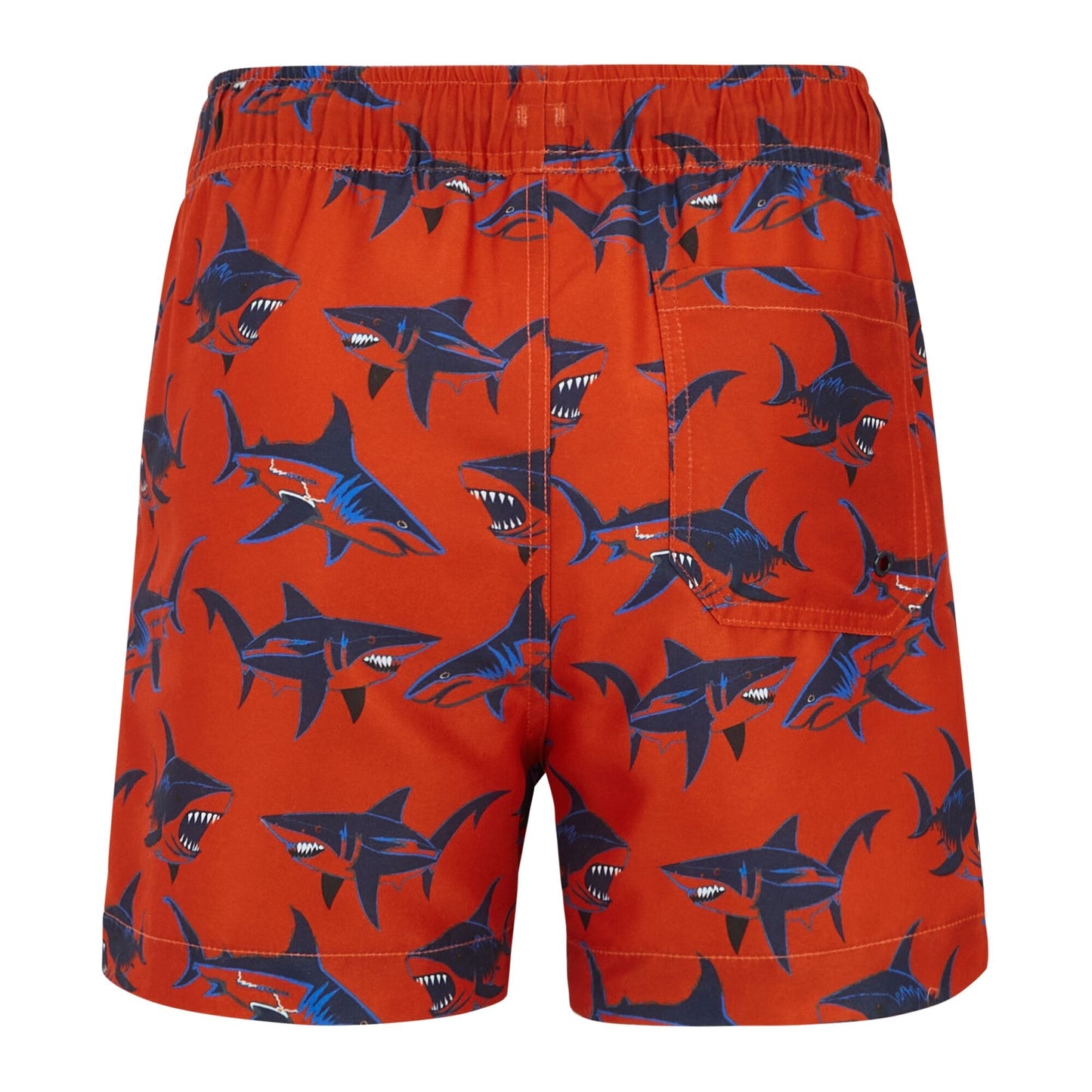 Rusty Orange - Back - Regatta Boys Skander Shark Swim Shorts
