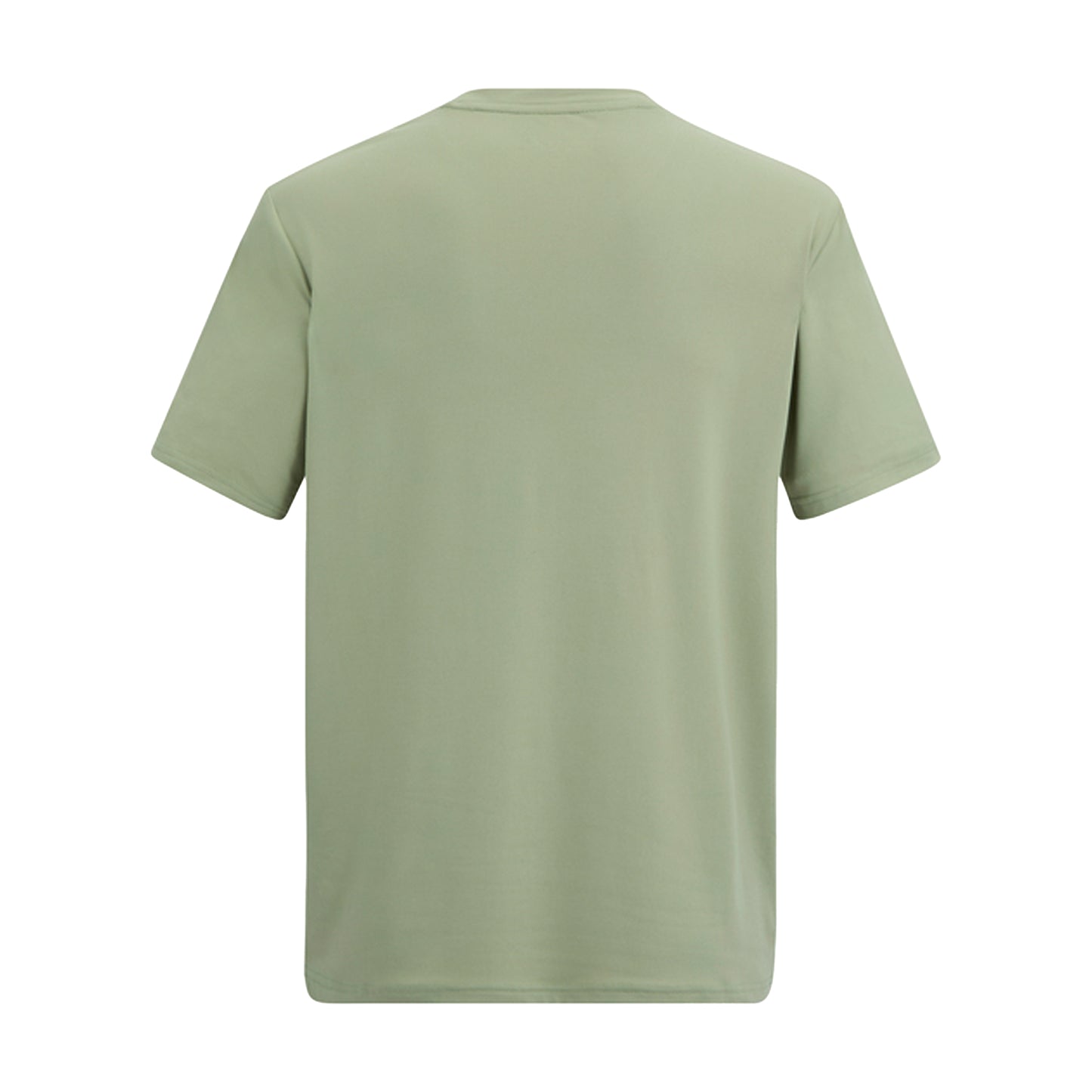 Light Sage - Back - Regatta Mens Fingal Mountain T-Shirt
