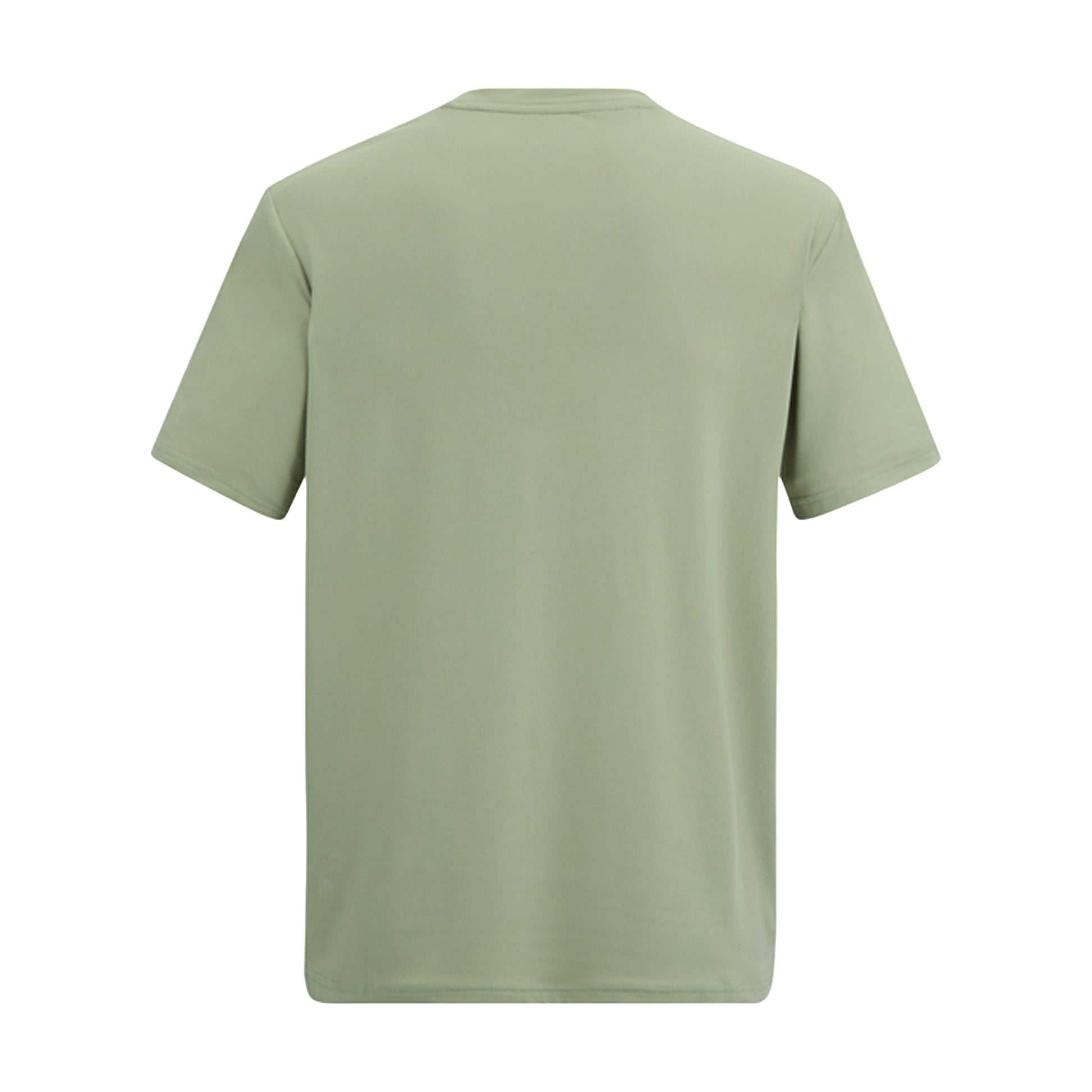 Light Sage - Back - Regatta Mens Fingal Mountain T-Shirt
