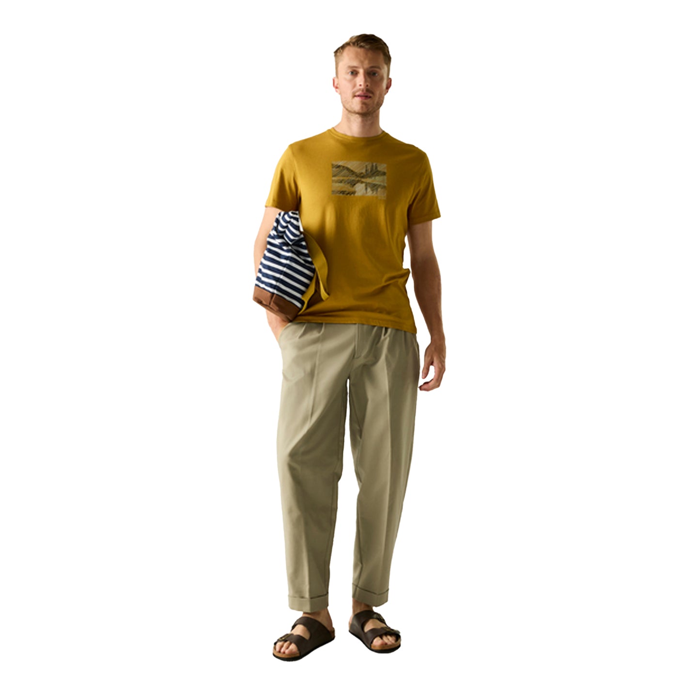 Wood Brown - Lifestyle - Regatta Mens Breezed Landscape T-Shirt