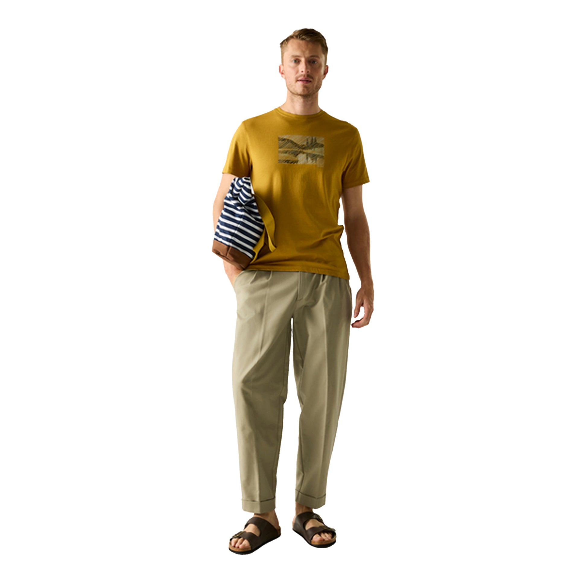 Wood Brown - Lifestyle - Regatta Mens Breezed Landscape T-Shirt