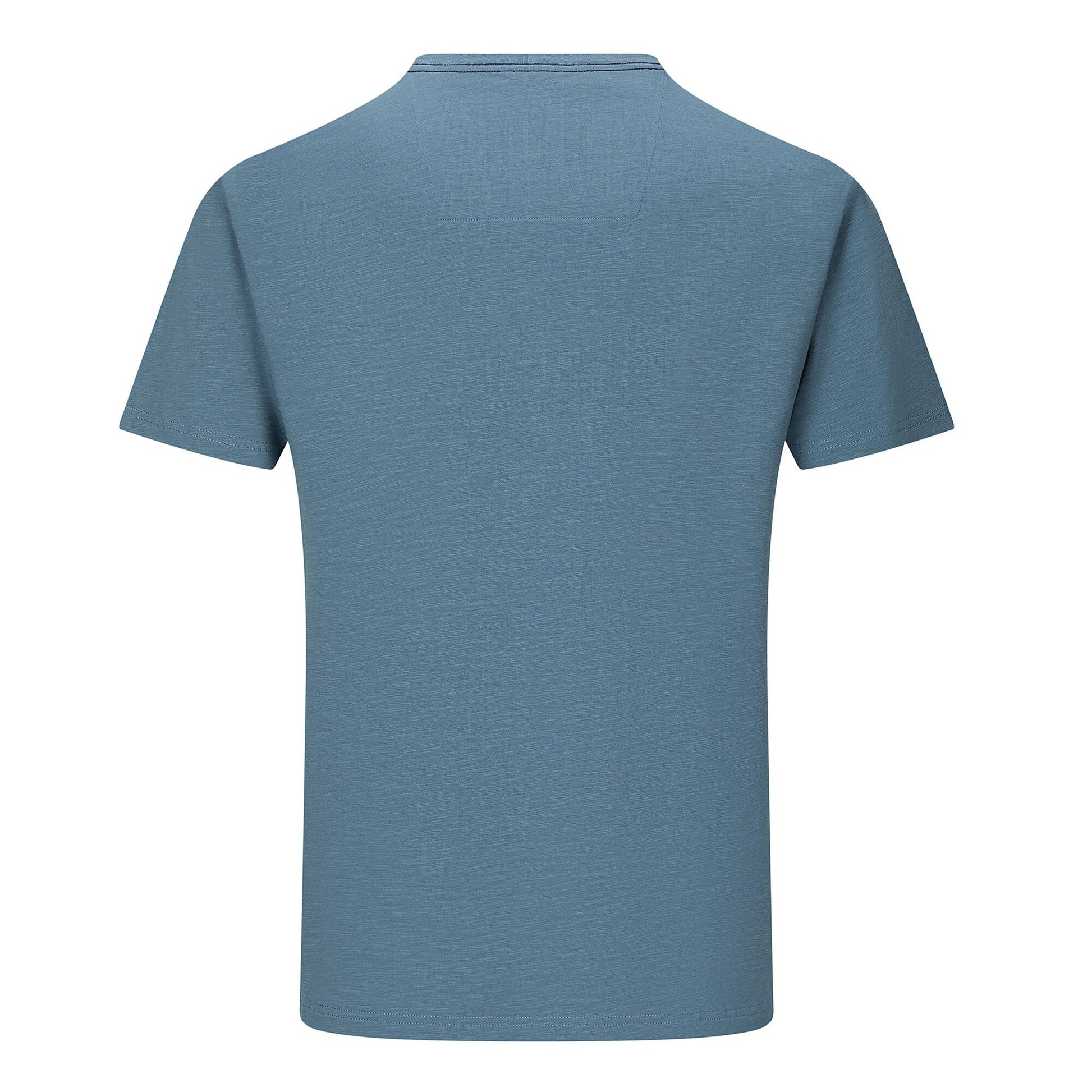 China Blue - Back - Regatta Mens Finlo Logo T-Shirt