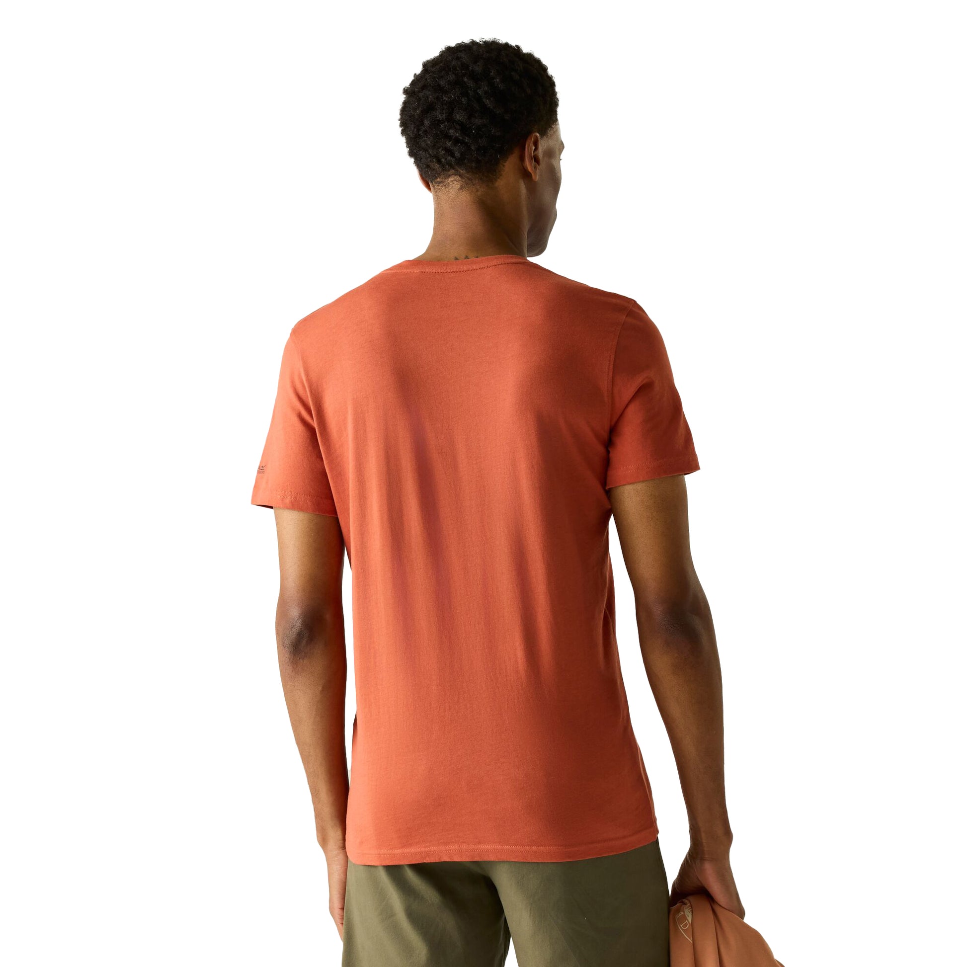 Brick - Pack Shot - Regatta Mens Breezed Mountain Flow T-Shirt