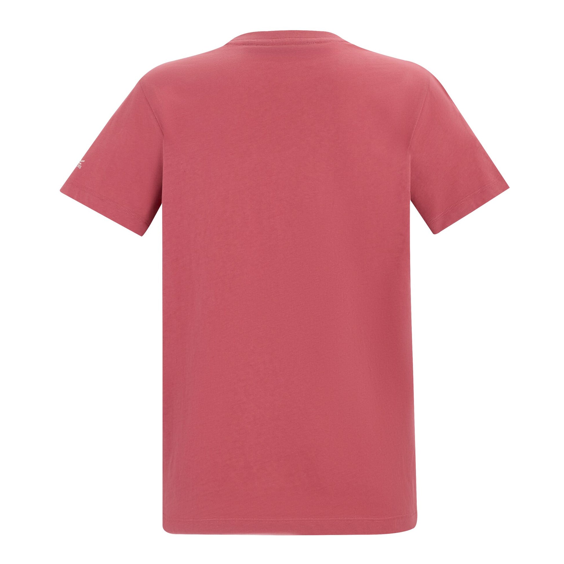 Slate Rose - Back - Regatta Womens-Ladies Filandra VX Floral T-Shirt