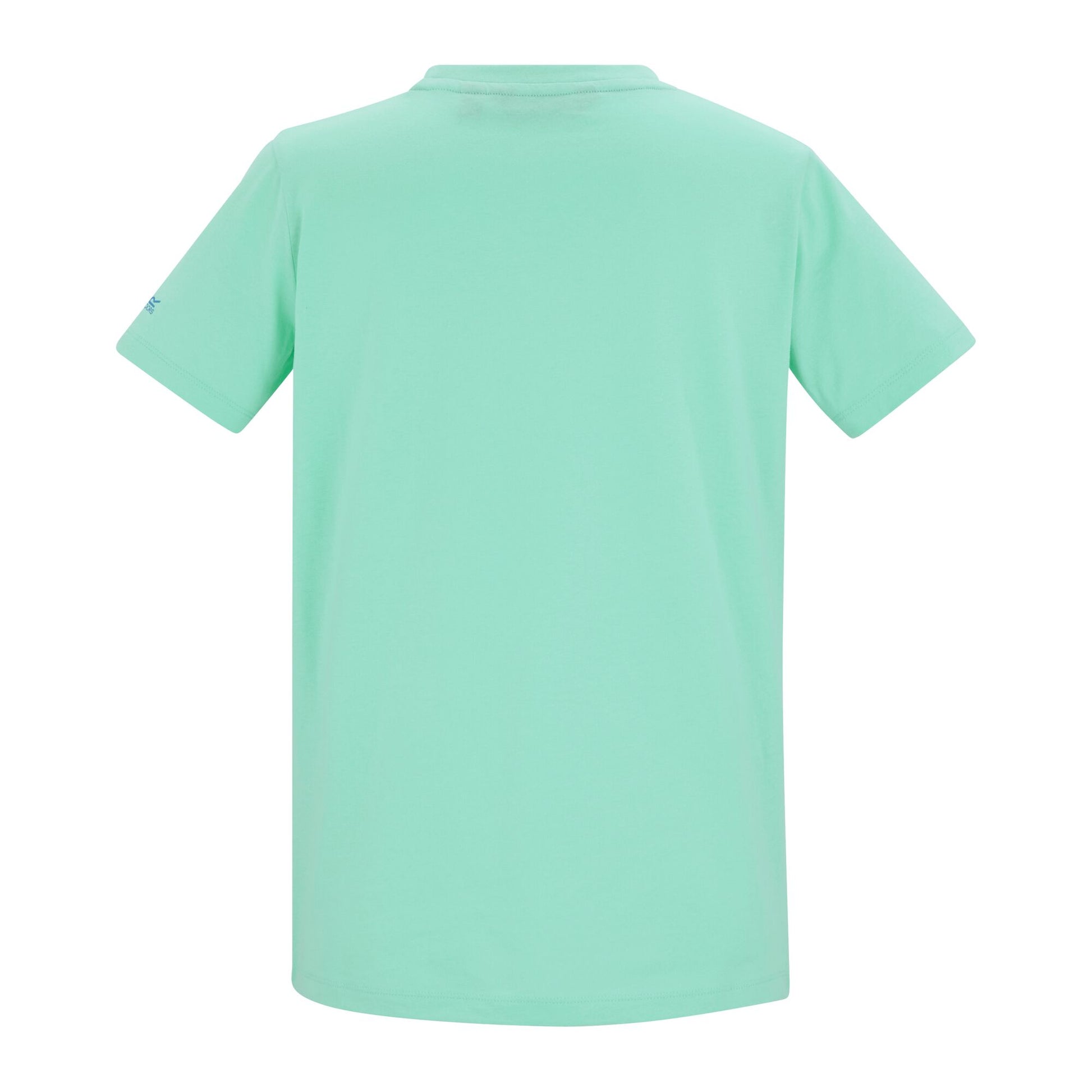 Ice Green - Back - Regatta Womens-Ladies Filandra VX Sunset Paddleboard T-Shirt