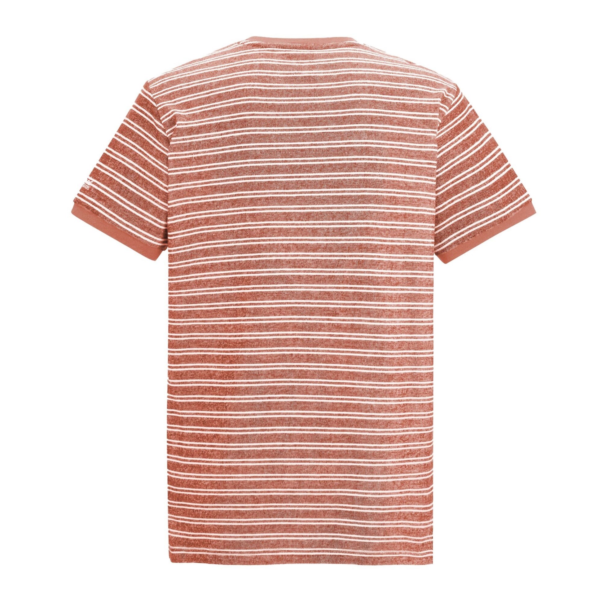 Brick-White Stone - Back - Regatta Mens Benlin Striped T-Shirt