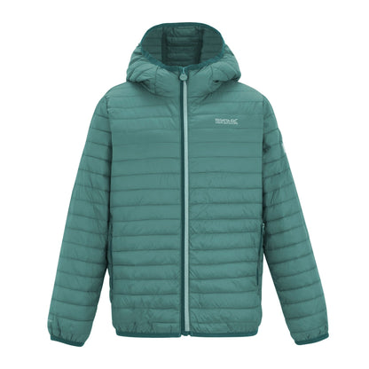 Ivy Moss - Front - Regatta Childrens-Kids Hillpack Hooded Jacket