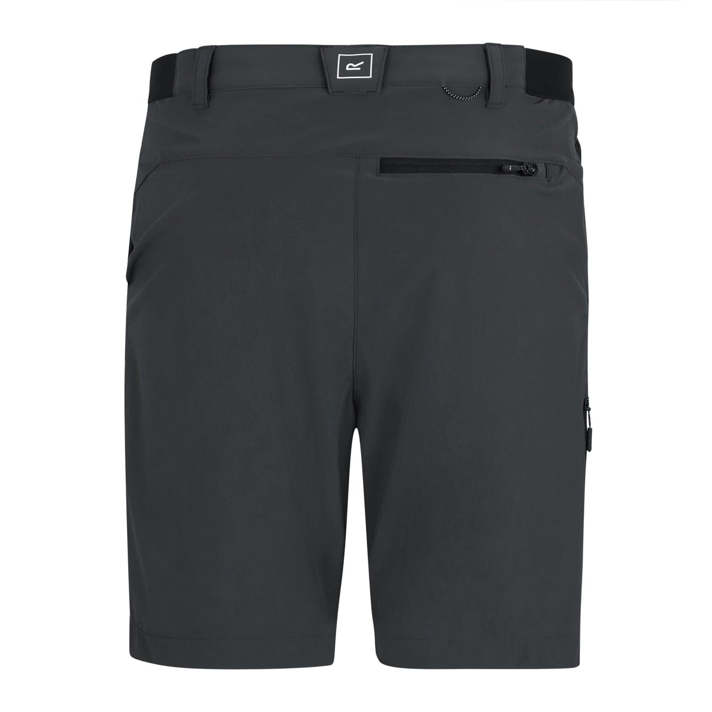 Ash - Back - Regatta Professional Mens Light Insect Repellent Travel Shorts