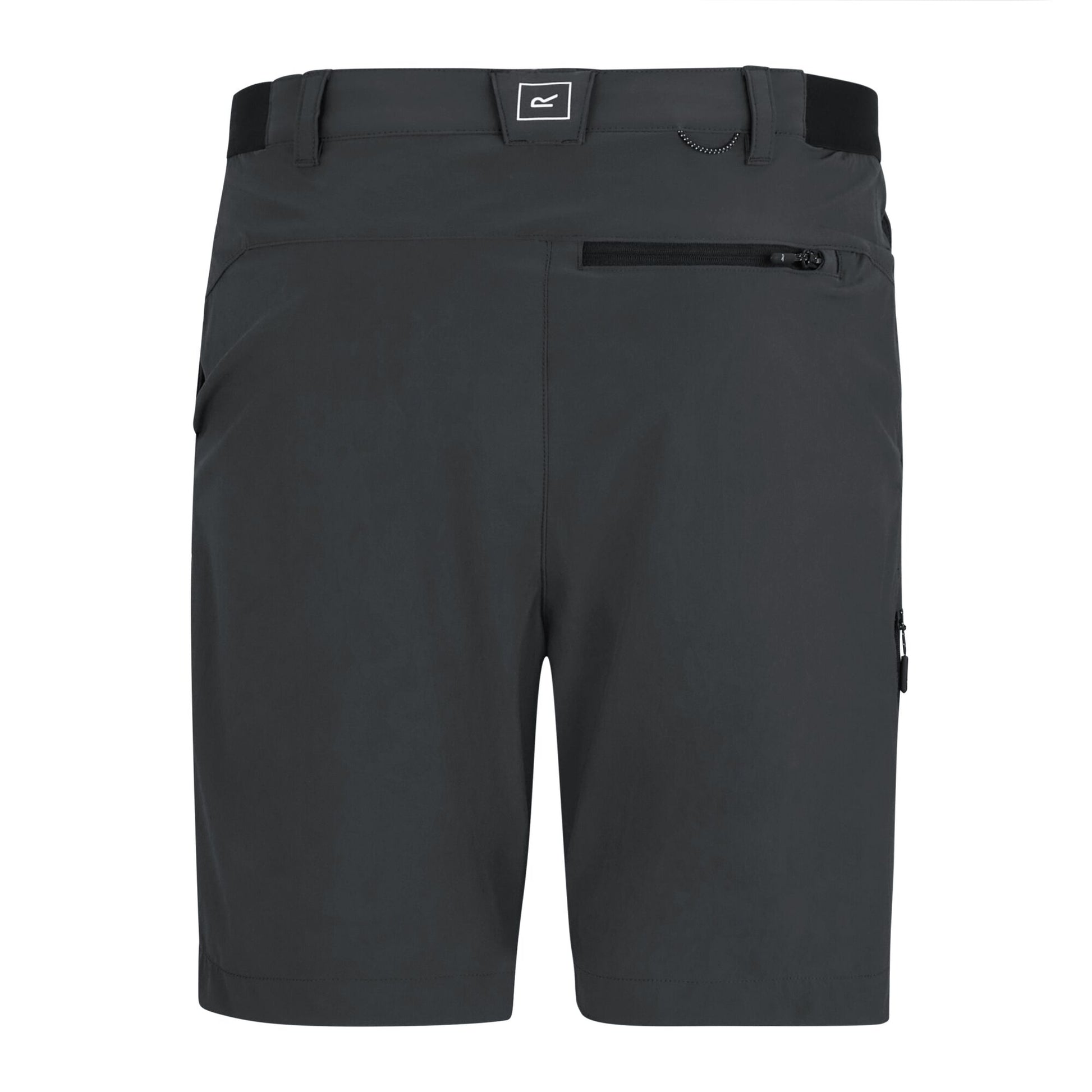 Ash - Back - Regatta Professional Mens Light Insect Repellent Travel Shorts