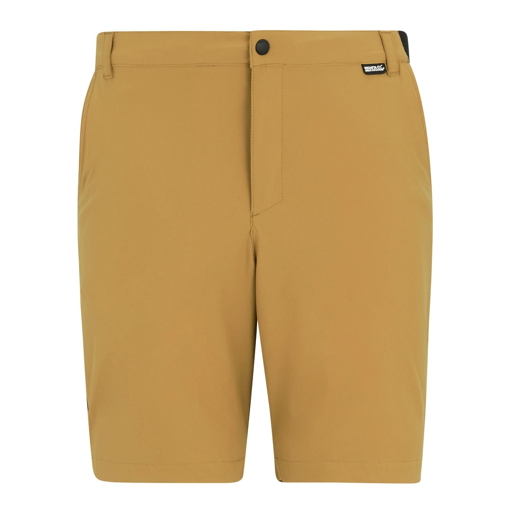 Wood Brown - Front - Regatta Professional Mens Light Insect Repellent Travel Shorts