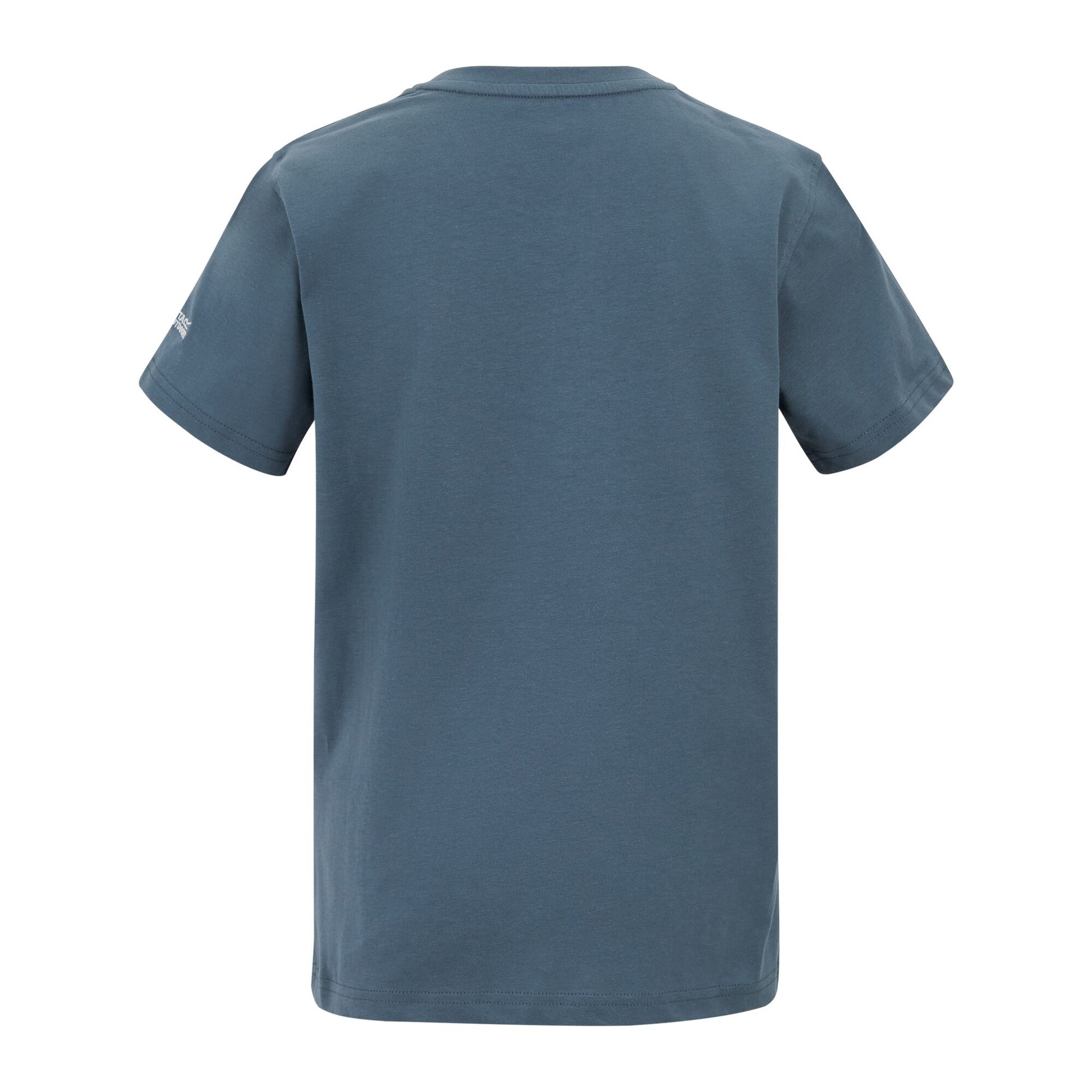 China Blue - Back - Regatta Childrens-Kids Bosley For Every Adventure Graphic T-Shirt