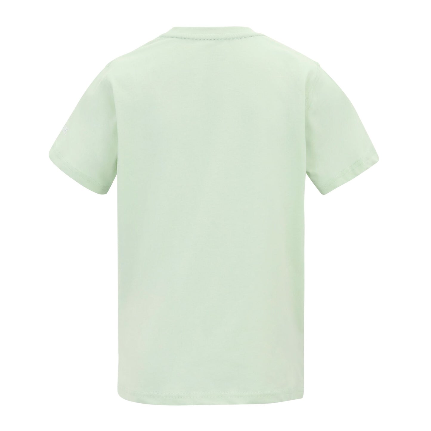 Ocean Mist - Back - Regatta Childrens-Kids Bosley T-Shirt