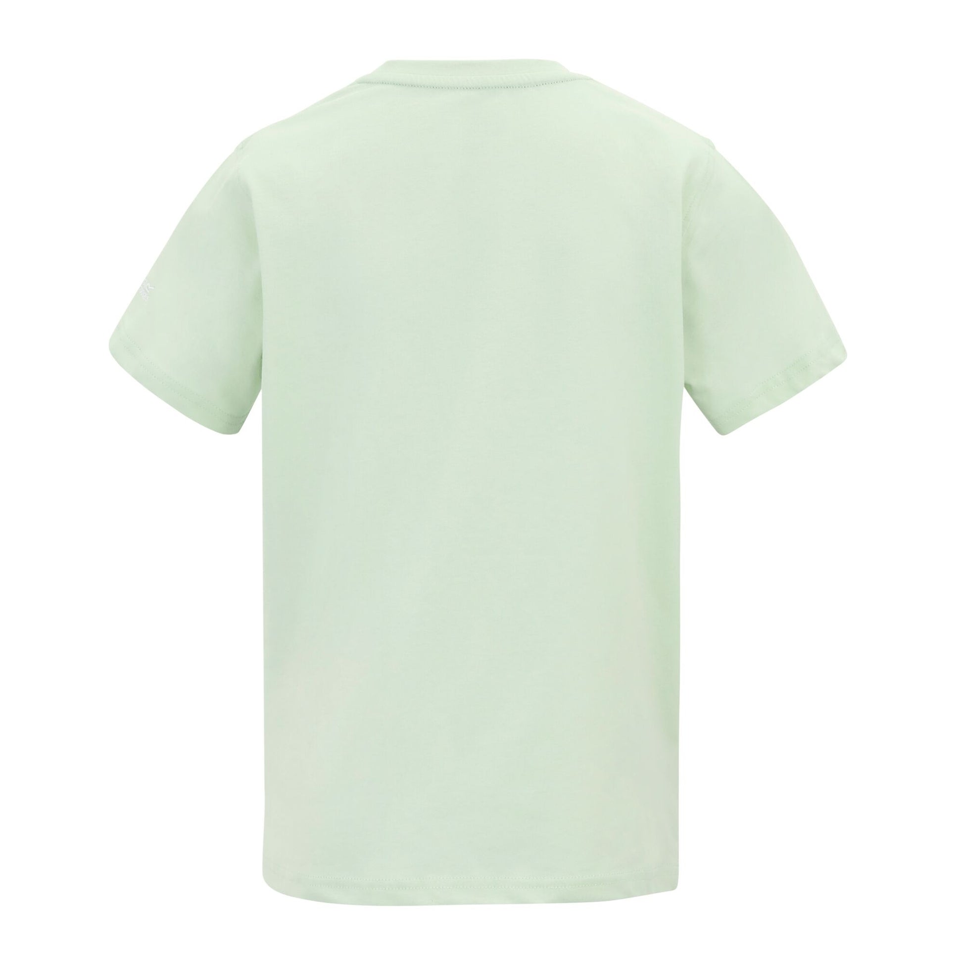 Ocean Mist - Back - Regatta Childrens-Kids Bosley T-Shirt