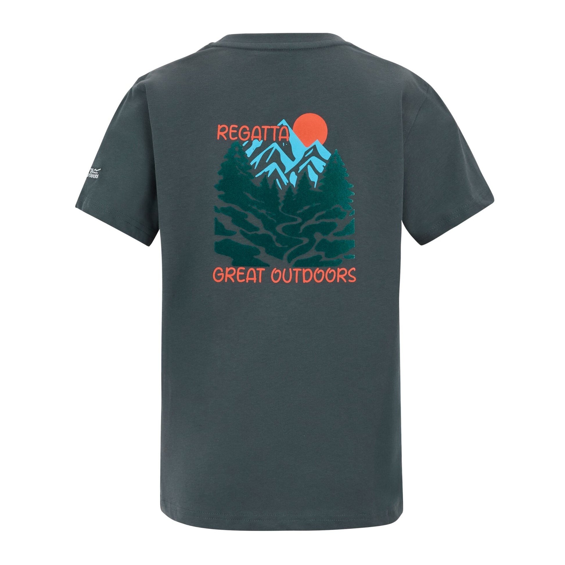 Dark Storm - Back - Regatta Childrens-Kids Bosley Mountain Scene Back Print T-Shirt
