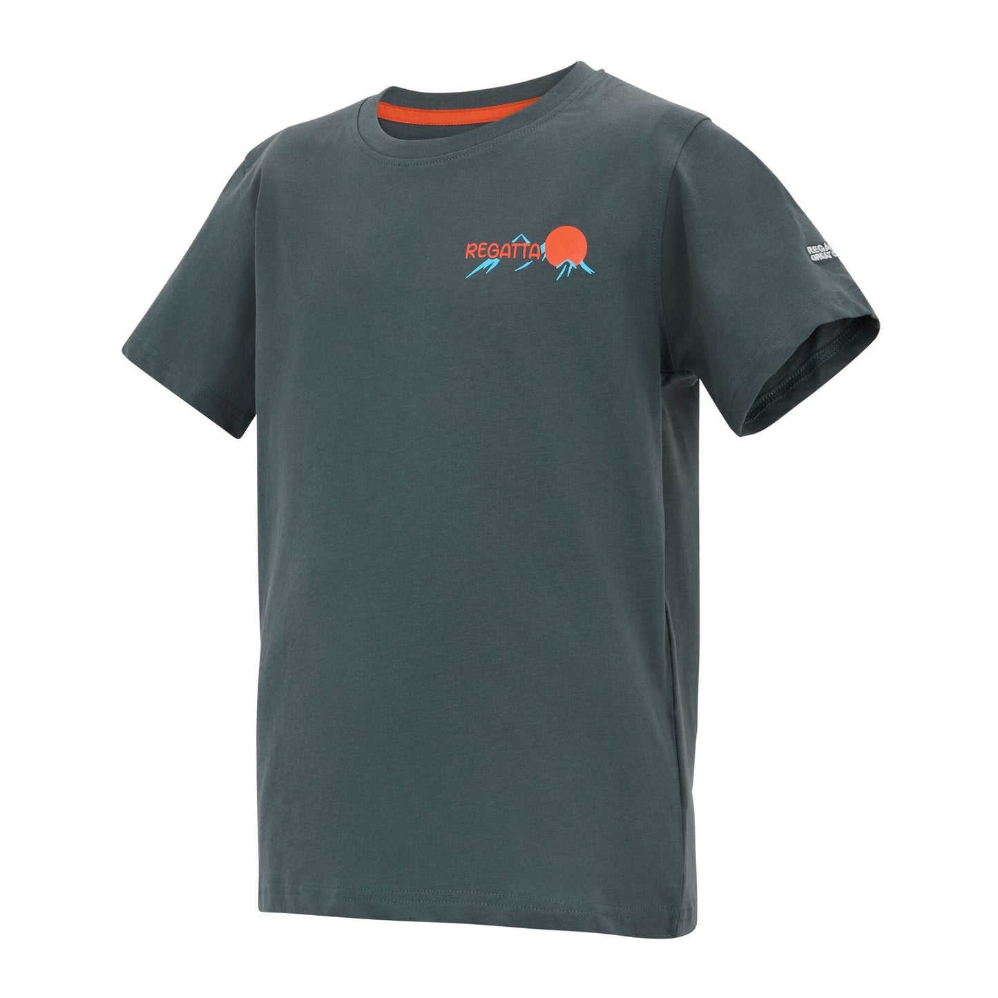 Dark Storm - Side - Regatta Childrens-Kids Bosley Mountain Scene Back Print T-Shirt