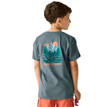 Dark Storm - Pack Shot - Regatta Childrens-Kids Bosley Mountain Scene Back Print T-Shirt