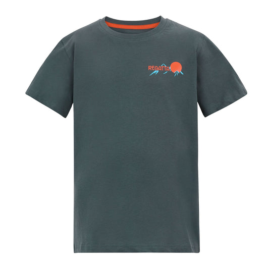 Dark Storm - Front - Regatta Childrens-Kids Bosley Mountain Scene Back Print T-Shirt
