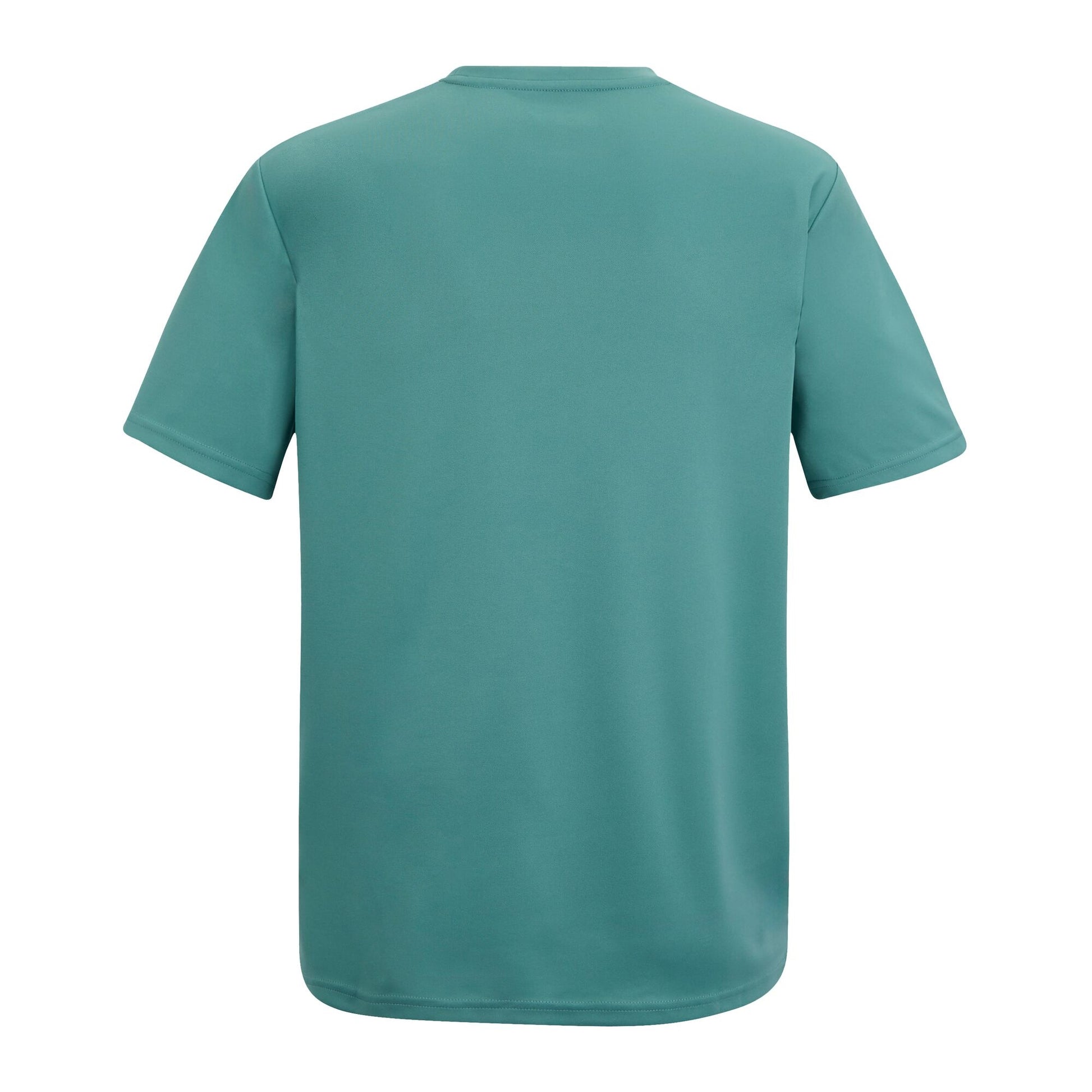Arctic - Back - Regatta Mens Fingal Mountain Scene T-Shirt