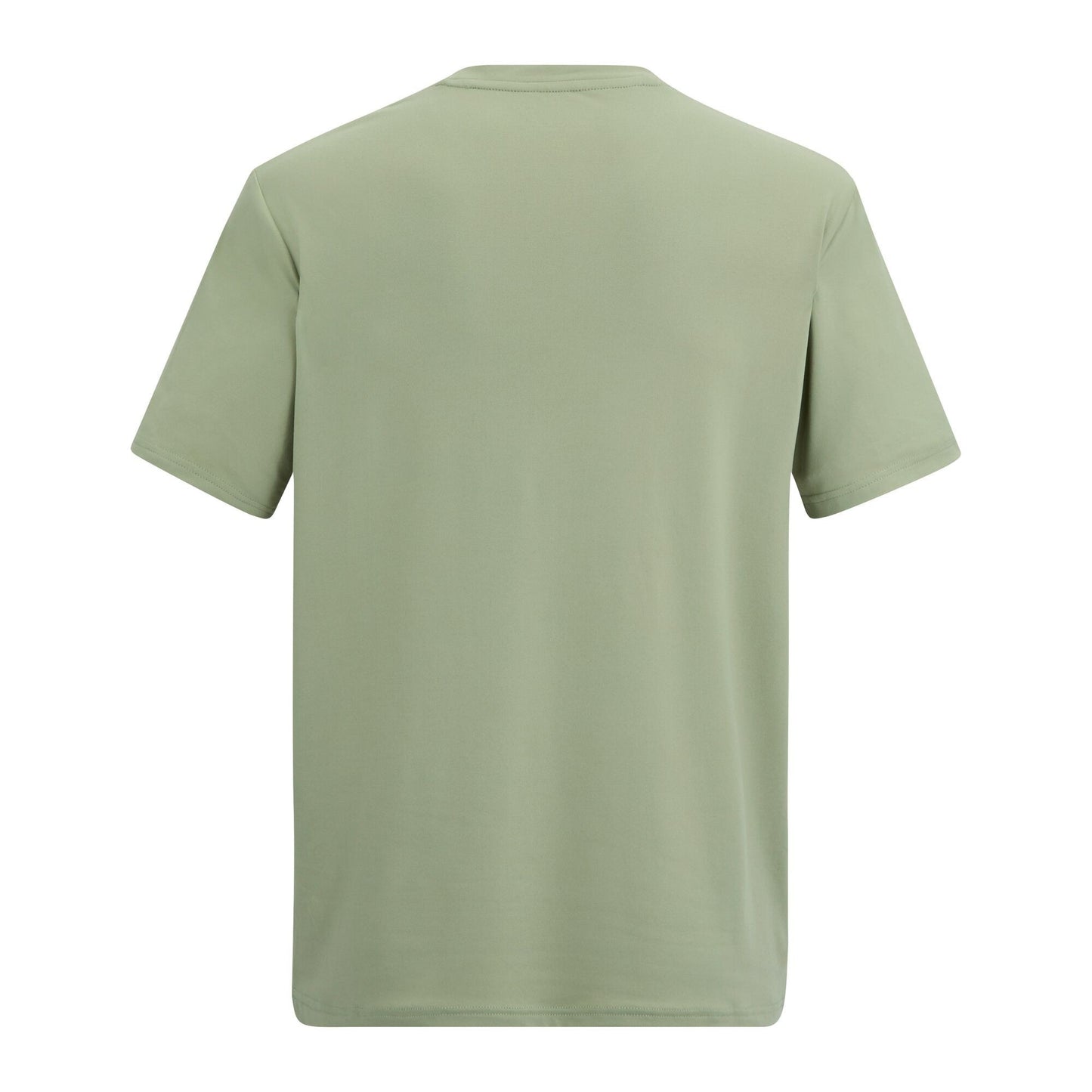 Light Sage - Back - Regatta Mens Fingal Sunset Stretch T-Shirt
