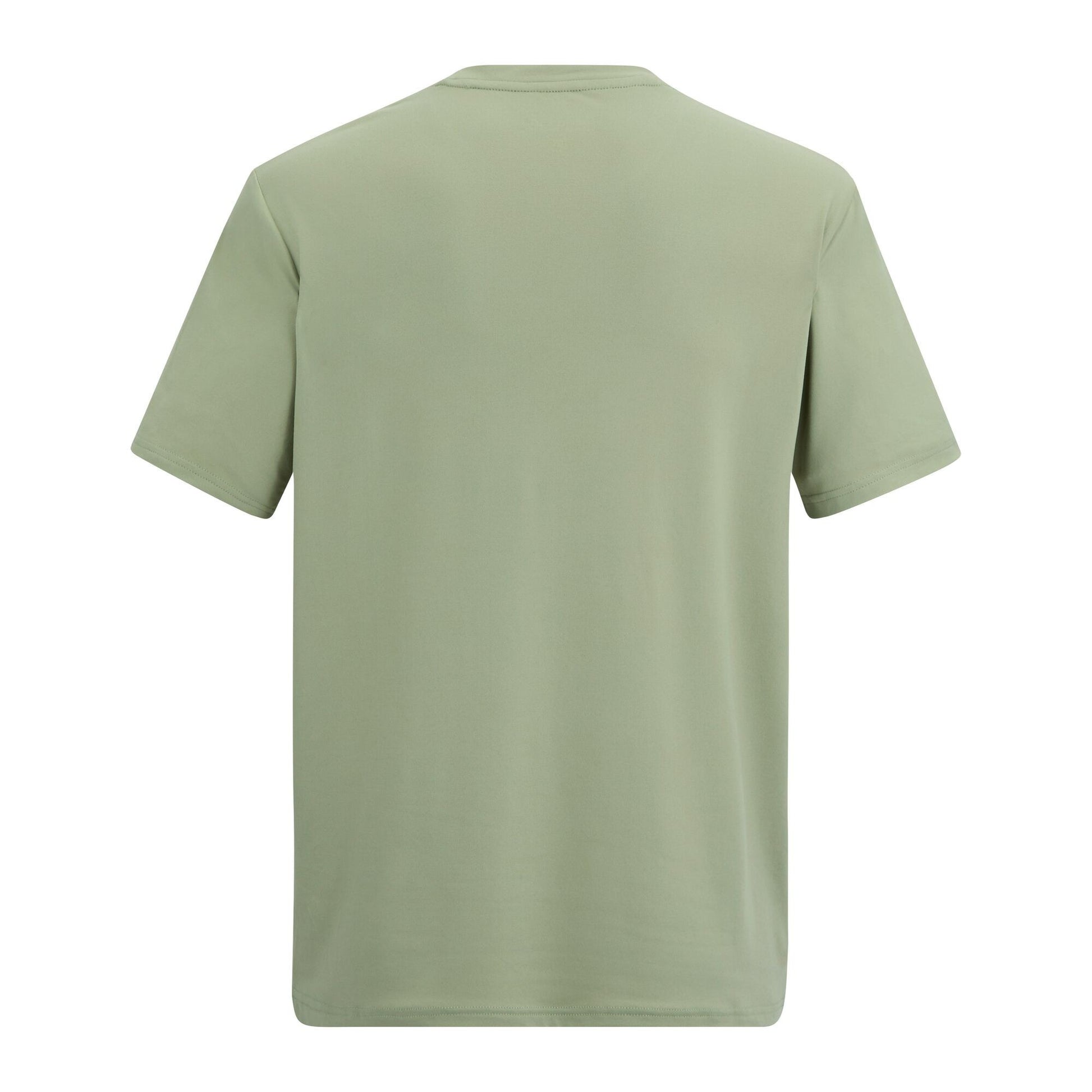 Light Sage - Back - Regatta Mens Fingal Sunset Stretch T-Shirt