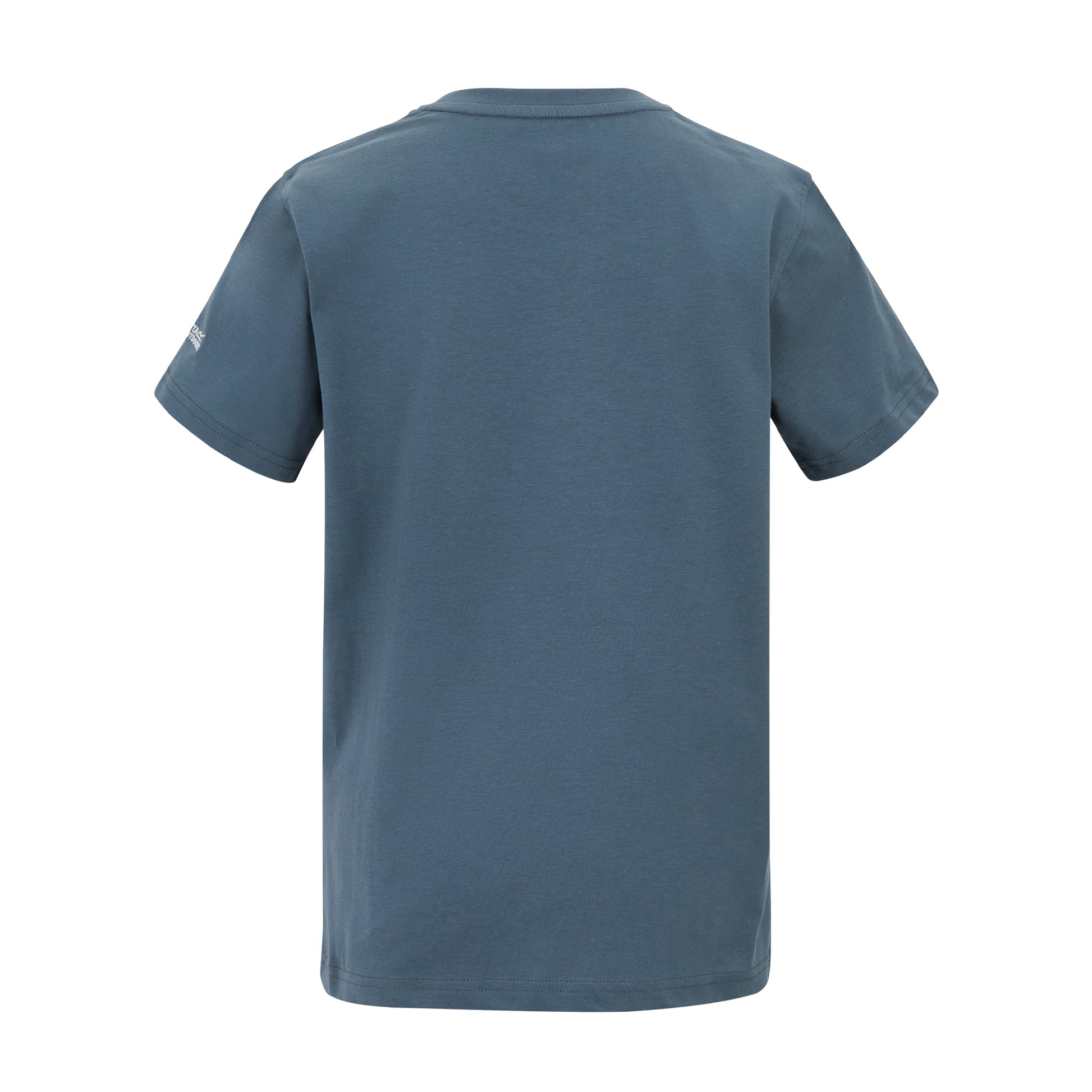 China Blue - Back - Regatta Childrens-Kids Bosley For Every Adventure Moon Mountain T-Shirt