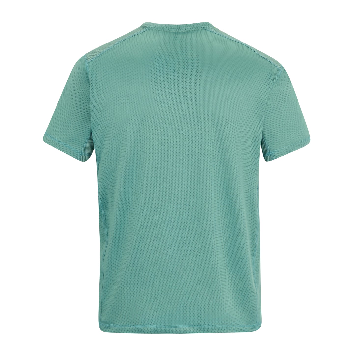 Arctic - Back - Regatta Mens Virda T-Shirt