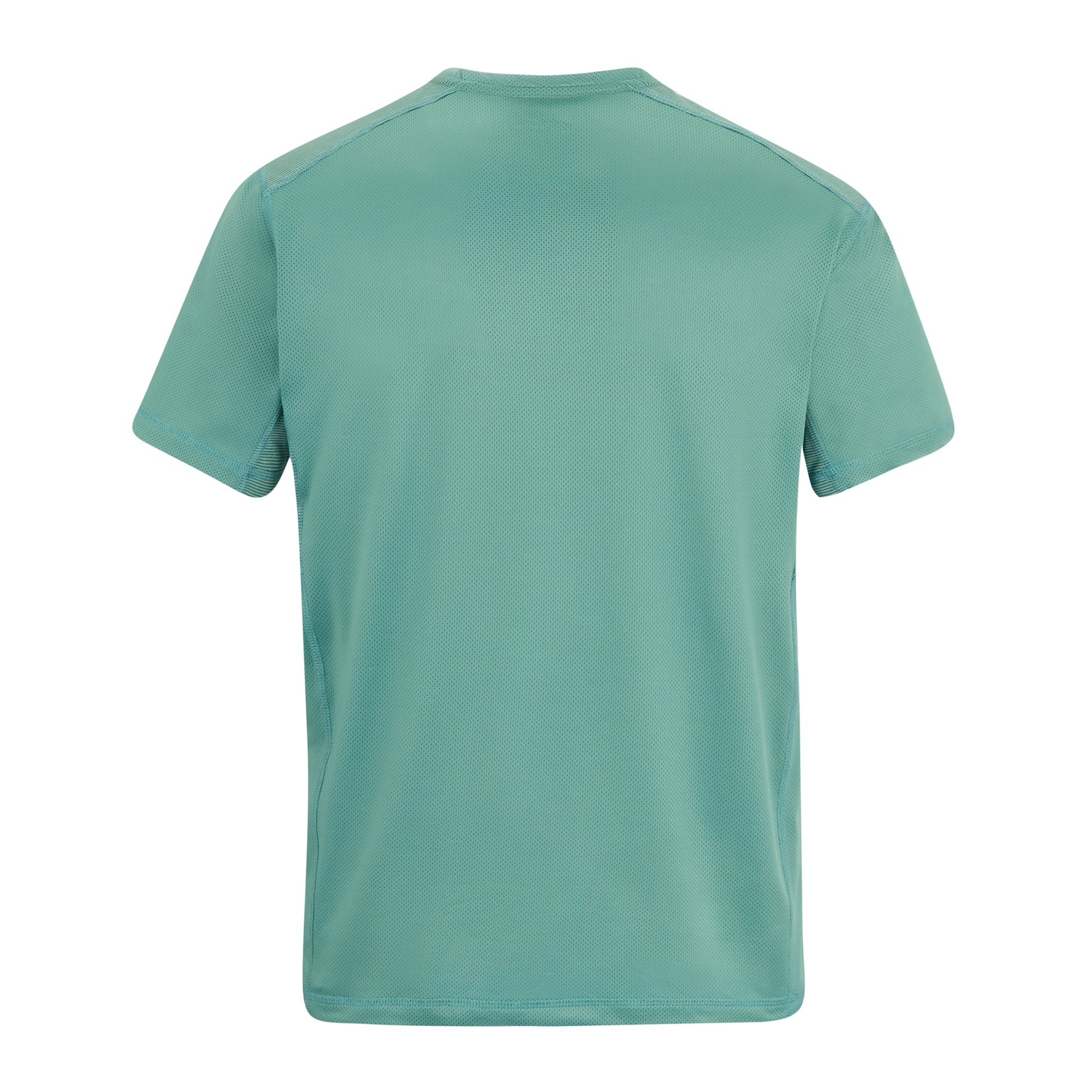 Arctic - Back - Regatta Mens Virda T-Shirt