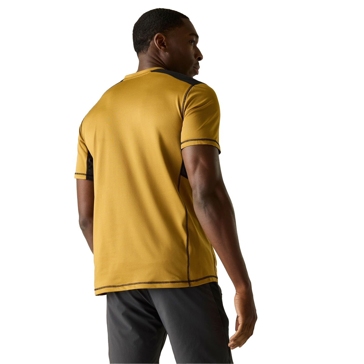 Wood Brown-Black - Pack Shot - Regatta Mens Virda T-Shirt