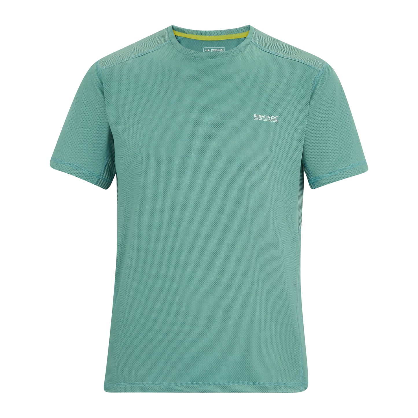 Arctic - Front - Regatta Mens Virda T-Shirt