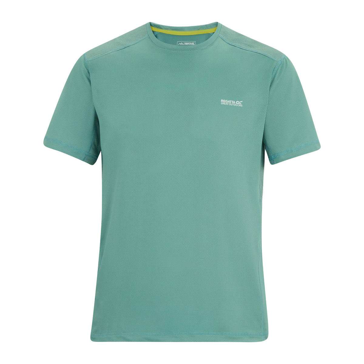 Arctic - Front - Regatta Mens Virda T-Shirt