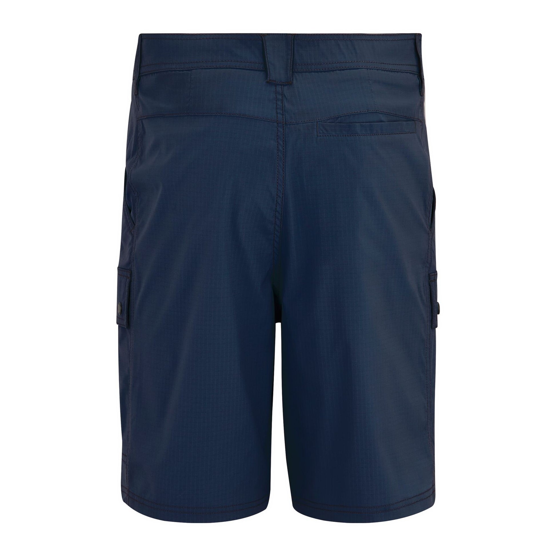 Navy - Back - Regatta Professional Mens Arlery Shorts