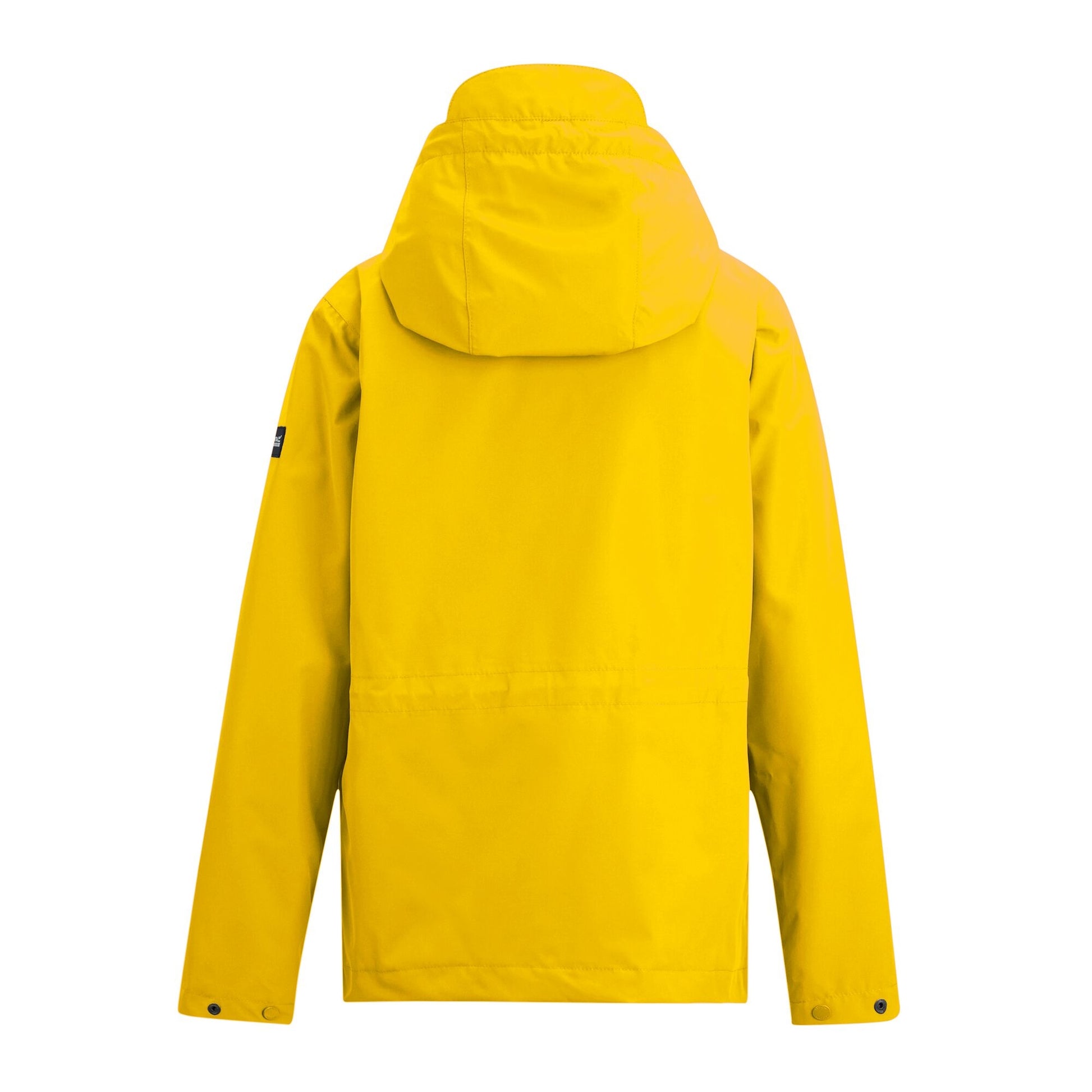 Spring Yellow - Back - Regatta Womens-Ladies Bayletta Grid Distress Waterproof Jacket