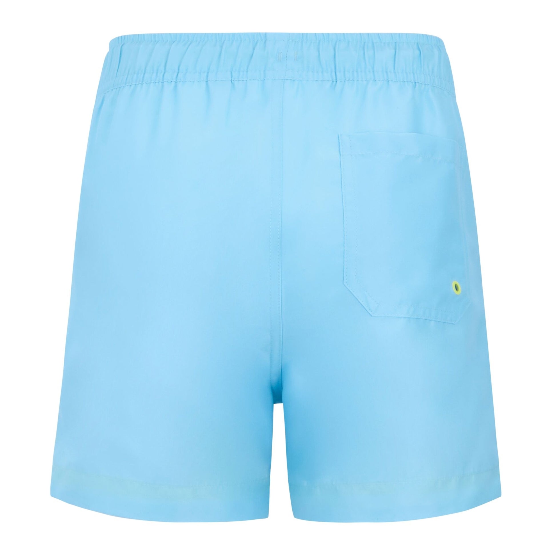 Baltic-Sharp Green - Back - Regatta Childrens-Kids Skander Swim Shorts