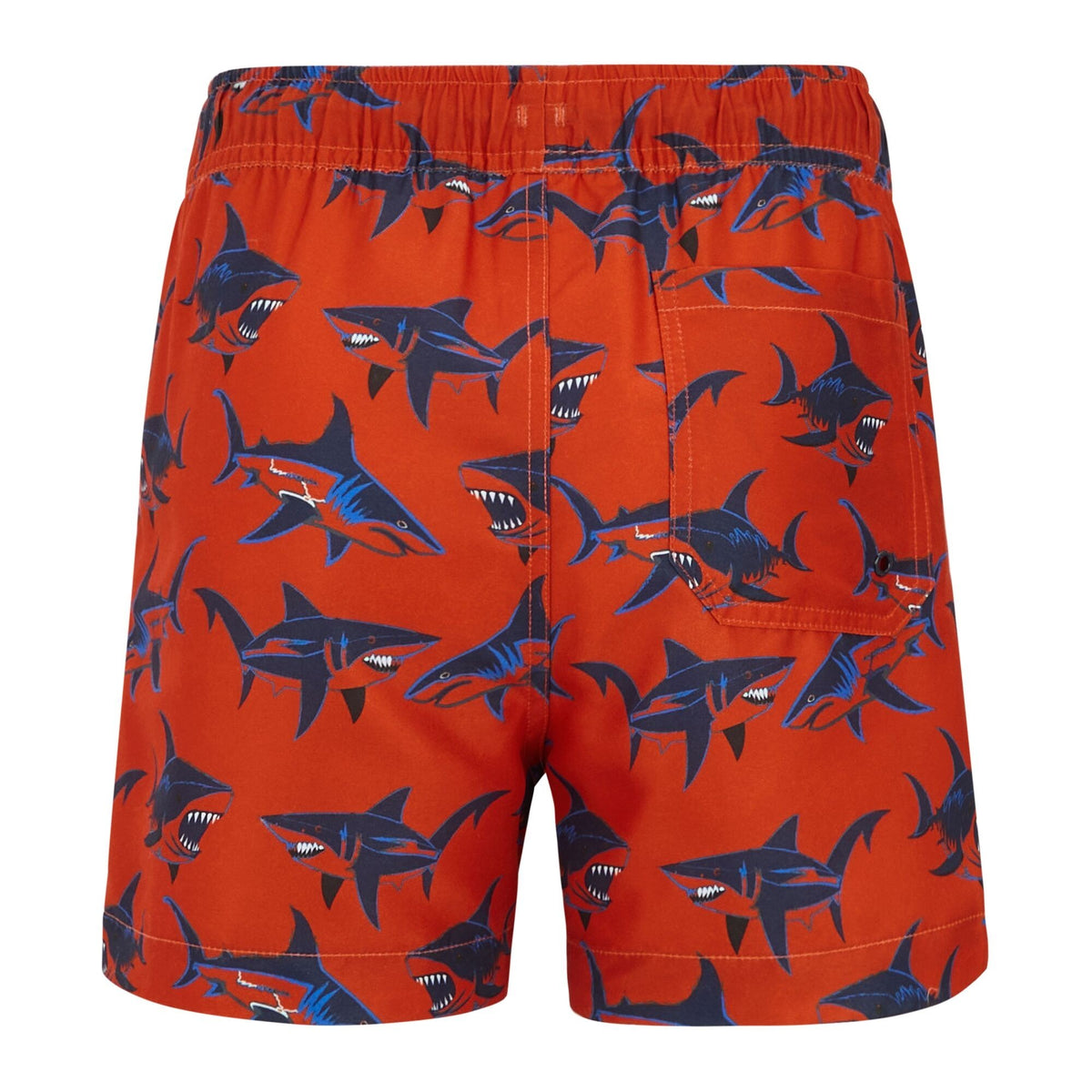 Rusty Orange - Back - Regatta Childrens-Kids Skander Swim Shorts